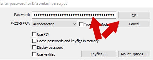 как зашифровать файлы и скрыть их паролем - VeraCrypt инструкция - скриншот 14