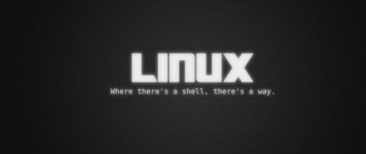 «Линуксовый» пакет обучения - картинка