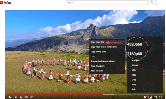 5 лучших загрузчиков видео 8K для загрузки с YouTube - скриншот 2